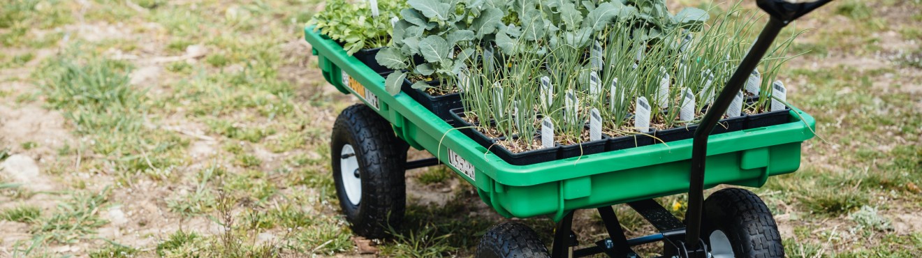 Scopri il Potere dei Prodotti Biologici: Come Agricook.it Supporta il Tuo Benessere e le Economie Locali